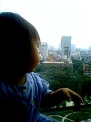 東京に来ています